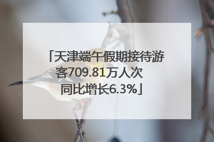 天津端午假期接待游客709.81万人次 同比增长6.3%