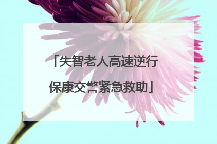 失智老人高速逆行 保康交警紧急救助