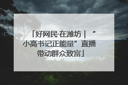 好网民·在潍坊｜“小高书记正能量”直播 带动群众致富