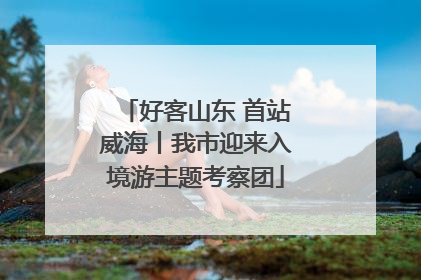 好客山东 首站威海丨我市迎来入境游主题考察团