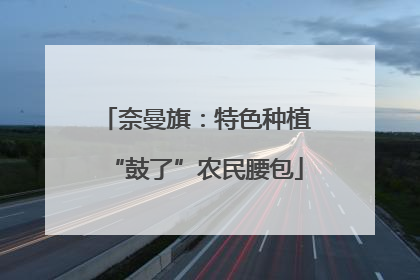 奈曼旗：特色种植“鼓了”农民腰包