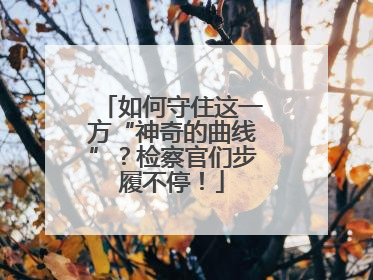如何守住这一方“神奇的曲线”？检察官们步履不停！