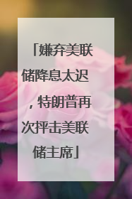 嫌弃美联储降息太迟，特朗普再次抨击美联储主席