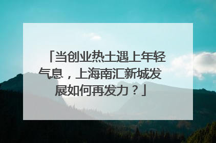 当创业热土遇上年轻气息，上海南汇新城发展如何再发力？