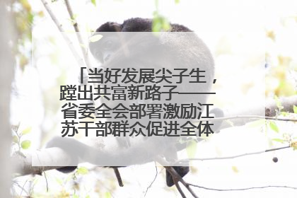 当好发展尖子生，蹚出共富新路子——省委全会部署激励江苏干部群众促进全体人民共同富裕