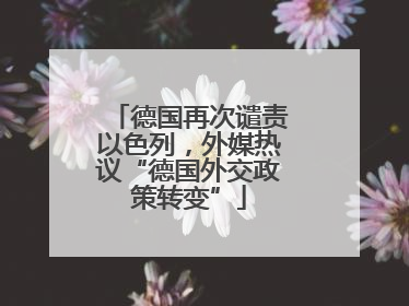 德国再次谴责以色列，外媒热议“德国外交政策转变”