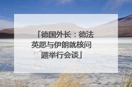 德国外长：德法英愿与伊朗就核问题举行会谈