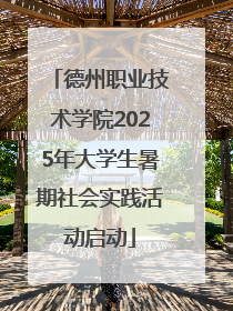 德州职业技术学院2025年大学生暑期社会实践活动启动