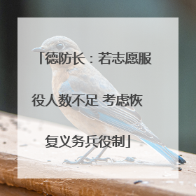 德防长：若志愿服役人数不足 考虑恢复义务兵役制