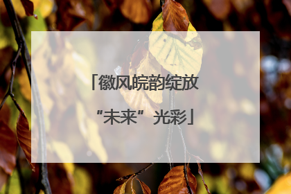 徽风皖韵绽放“未来”光彩