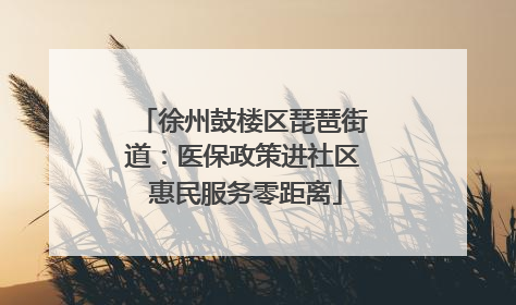 徐州鼓楼区琵琶街道：医保政策进社区 惠民服务零距离