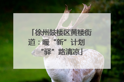 徐州鼓楼区黄楼街道：暖“新”计划 “驿”路清凉