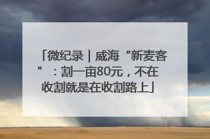 微纪录｜威海“新麦客”：割一亩80元，不在收割就是在收割路上
