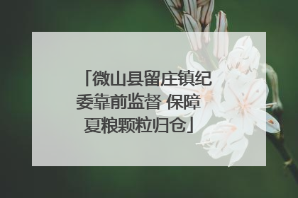 微山县留庄镇纪委靠前监督 保障夏粮颗粒归仓