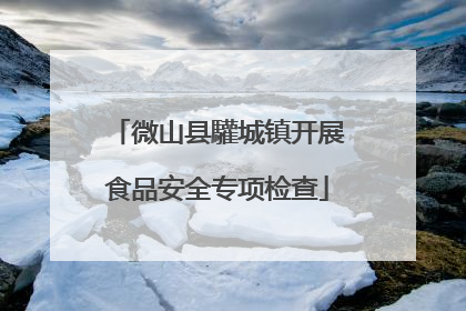 微山县驩城镇开展食品安全专项检查