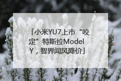 小米YU7上市“咬定”特斯拉Model Y，智界闻风降价