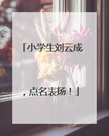 小学生刘云成，点名表扬！