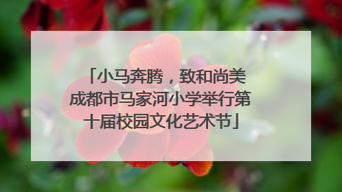 小马奔腾，致和尚美 成都市马家河小学举行第十届校园文化艺术节