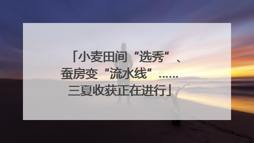 小麦田间“选秀”、蚕房变“流水线”……三夏收获正在进行