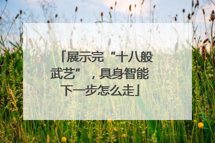 展示完“十八般武艺”，具身智能下一步怎么走