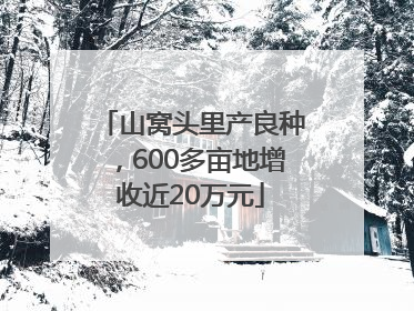 山窝头里产良种，600多亩地增收近20万元