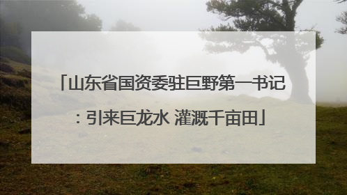 山东省国资委驻巨野第一书记：引来巨龙水 灌溉千亩田