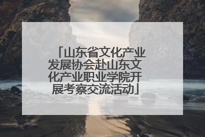 山东省文化产业发展协会赴山东文化产业职业学院开展考察交流活动