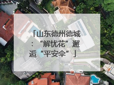 山东德州德城：“解忧花”邂逅“平安伞”