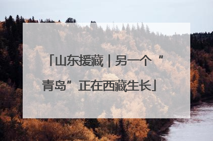 山东援藏｜另一个“青岛”正在西藏生长
