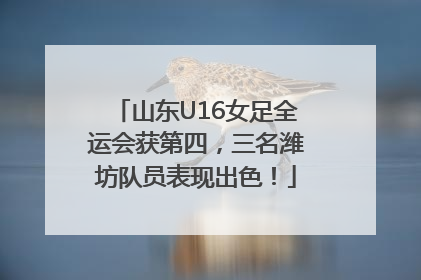 山东U16女足全运会获第四，三名潍坊队员表现出色！