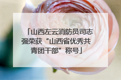 山西左云消防员司志强荣获“山西省优秀共青团干部”称号