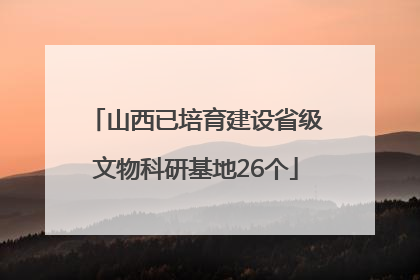 山西已培育建设省级文物科研基地26个