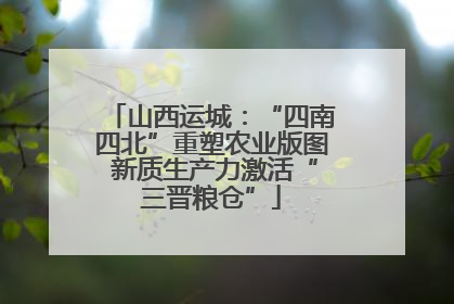 山西运城：“四南四北”重塑农业版图 新质生产力激活“三晋粮仓”