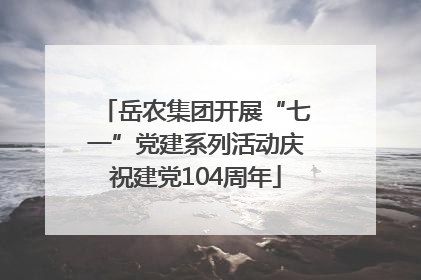 岳农集团开展“七一”党建系列活动庆祝建党104周年