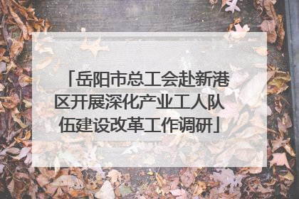 岳阳市总工会赴新港区开展深化产业工人队伍建设改革工作调研