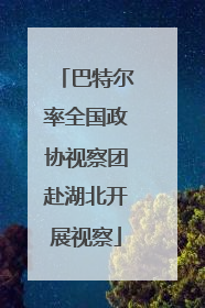 巴特尔率全国政协视察团赴湖北开展视察