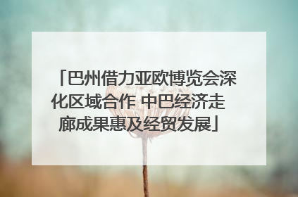 巴州借力亚欧博览会深化区域合作 中巴经济走廊成果惠及经贸发展