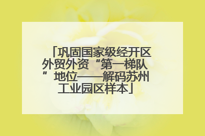 巩固国家级经开区外贸外资“第一梯队”地位——解码苏州工业园区样本