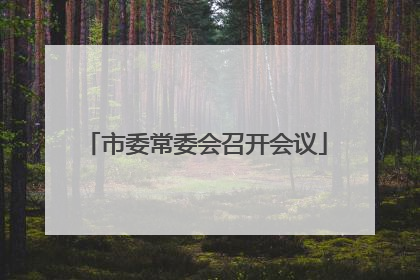 市委常委会召开会议