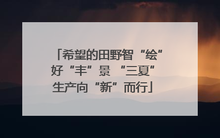 希望的田野智“绘”好“丰”景 “三夏”生产向“新”而行
