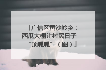 广信区黄沙岭乡：西瓜大棚让村民日子“顶呱呱”（图）