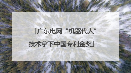 广东电网“机器代人”技术拿下中国专利金奖