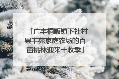 广丰桐畈镇下社村果丰苑家庭农场的百亩桃林迎来丰收季