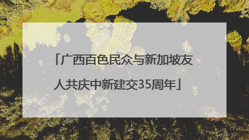 广西百色民众与新加坡友人共庆中新建交35周年