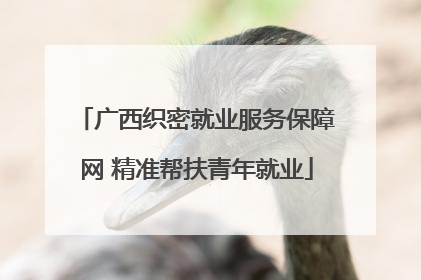 广西织密就业服务保障网 精准帮扶青年就业