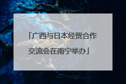 广西与日本经贸合作交流会在南宁举办