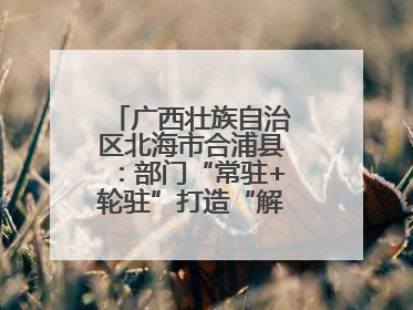 广西壮族自治区北海市合浦县：部门“常驻+轮驻”打造“解纷联合舰队”