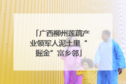 广西柳州莲藕产业领军人泥土里“掘金”富乡邻