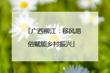 广西柳江：移风易俗赋能乡村振兴