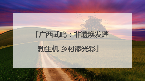 广西武鸣：非遗焕发蓬勃生机 乡村添光彩